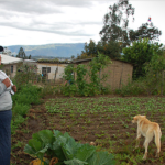 Las mujeres campesinas, guardianas de las semillas